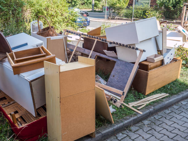 Best Electronics Removal Services  in Ellaville, GA